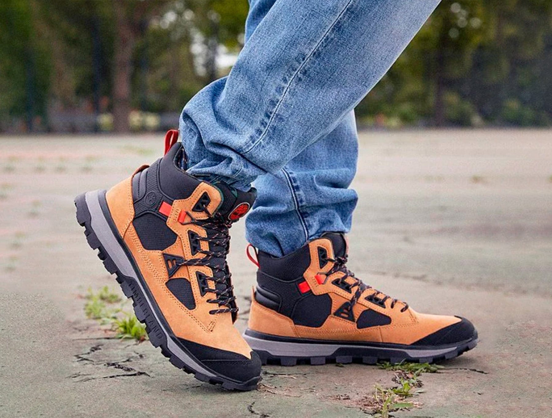 Zapatilla Timberland Treeline Str Mid Hombre Cafe